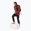 Pánska  bunda Arc'teryx Cerium Hoody sequoia/solaris 2