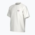 Pánske tričko Arc'teryx Kragg Cotton Logo white light / soul 3