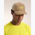 Arc'teryx Bird Word Trucker czapka z daszkiem canvas/euphoria 6