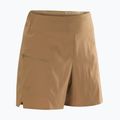 Trekingové šortky Arc'Teryx Aestas canvas 6