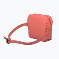 Ľadvinka Arcteryx Heliad 2,5 l reef 4