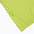 Pánske tričko Arcteryx Cormac Logo mantis 3