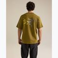 Pánske tričko Arcteryx Kragg Cotton Logo SS bracken 3