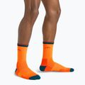 Pánske trekingové ponožky Darn Tough Hiker Micro Crew blaze 5