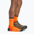 Pánske trekingové ponožky Darn Tough Hiker Micro Crew blaze 6