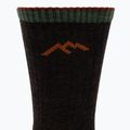 Pánske ponožky Darn Tough Hiker Micro Crew walnut 3