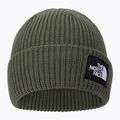 Čiapka The North Face Salty Dog zelená NF0A3FJWNYC1 2