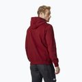 Pánska mikina Helly Hansen HH Logo Hoodie burgundy 33977_215 2