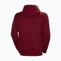 Pánska mikina Helly Hansen HH Logo Hoodie burgundy 33977_215 5