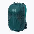Helly Hansen Generator 20 l turistický batoh zelený 67341_436 8