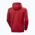 Pánska mikina Helly Hansen HH Logo Hoodie red 2