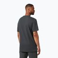 Pánske trekingové tričko Helly Hansen Nord Graphic 981 sivé 62978 2
