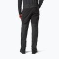 Helly Hansen pánske trekingové nohavice Verglas Tur 980 grey 63000 2