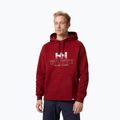 Pánska mikina Helly Hansen Arctic Ocean Hoodie burgundy 30361_215