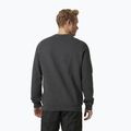 Pánsky sveter Helly Hansen Arctic Ocean sivý 30364_980 2
