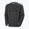 Pánsky sveter Helly Hansen Arctic Ocean sivý 30364_980 4