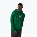 Pánska trekingová mikina Helly Hansen F2F Organic Cotton Hoodie 486 green 62934 3