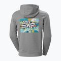 Helly Hansen pánska trekingová mikina F2F Organic Cotton 855 sivá 62934 2