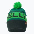 Helly Hansen Ridgeline čiapka zelená 67150_495 2