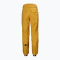 Helly Hansen pánske lyžiarske nohavice Sogn Cargo yellow 65673_328 7