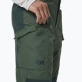 Helly Hansen pánske trekingové nohavice Vandre Tur green 62698_476 3