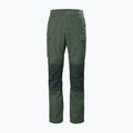 Helly Hansen pánske trekingové nohavice Vandre Tur green 62698_476 6