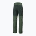 Helly Hansen pánske trekingové nohavice Vandre Tur green 62698_476 7