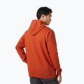 Pánska trekingová mikina Helly Hansen Nord Graphic Pull Over Hoodie červená 62975_308 2