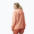 Dámska trekingová mikina Helly Hansen Nord Graphic Pullover Hoodie orange 62981_058 2