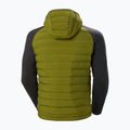 Pánska plachetnica Helly Hansen Arctic Ocean Hybrid Insulator olive green 7