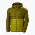 Pánska páperová bunda Helly Hansen Banff Hooded Insulator bright moss 11