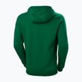 Pánska trekingová mikina Helly Hansen F2F Organic Cotton Hoodie malachite 5
