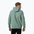 Pánska mikina Helly Hansen HH Logo Hoodie cactus 2