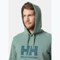 Pánska mikina Helly Hansen HH Logo Hoodie cactus 3