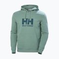 Pánska mikina Helly Hansen HH Logo Hoodie cactus 5