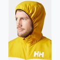 Pánska bunda Helly Hansen Salt Striped Windbreaker gold rush 3