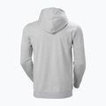 Pánska mikina Helly Hansen Nord Graphic Pull Over Hoodie šedá 2