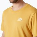 Pánske tričko Helly Hansen Nord Graphic sand 3