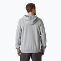 Pánska mikina Helly Hansen HH Logo Full Zip Hoodie 2.0 grey/ melange 2