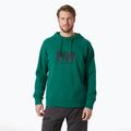 Pánska mikina Helly Hansen HH Logo Hoodie 2.0 emerald