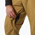 Pánske lyžiarske nohavice Helly Hansen Legendary Insulated lynx 4