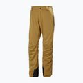 Pánske lyžiarske nohavice Helly Hansen Legendary Insulated lynx 5