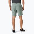 Pánske jachtárske šortky Helly Hansen Hp Sirocco 9" grey cactus 2