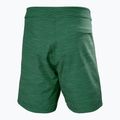 Pánske plavecké šortky Helly Hansen Newport Boardshorts 8" jungle green 6
