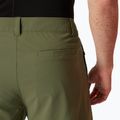 Helly Hansen Move Quick-Dry 6" lav green trekingové šortky 4