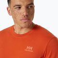 Pánske tričko Helly Hansen Nord Graphic jungle green 3