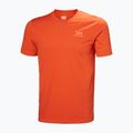 Pánske tričko Helly Hansen Nord Graphic jungle green 4