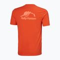 Pánske tričko Helly Hansen Nord Graphic jungle green 5