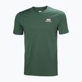 Pánske tričko Helly Hansen HH Cotton 2 ks white 4