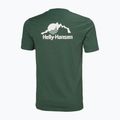 Pánske tričko Helly Hansen HH Cotton 2 ks white 5